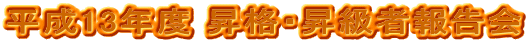 13Nx iEҕ񍐉