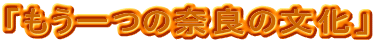 u̓ޗǂ̕v