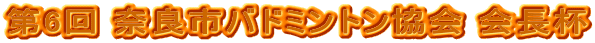 6 ޗǎsoh~g t