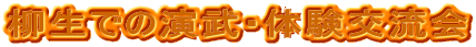 ł̉Ě𗬉