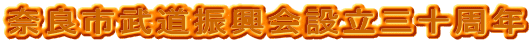 ޗǎsUݗO\N